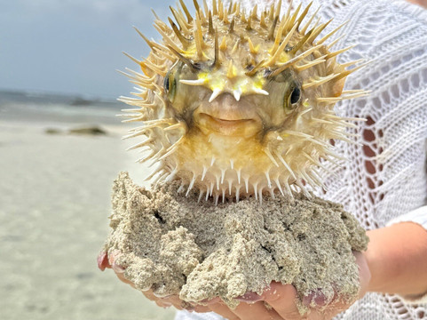 Vivi Il Kenya Con Sorriso-瓦塔木必去景点