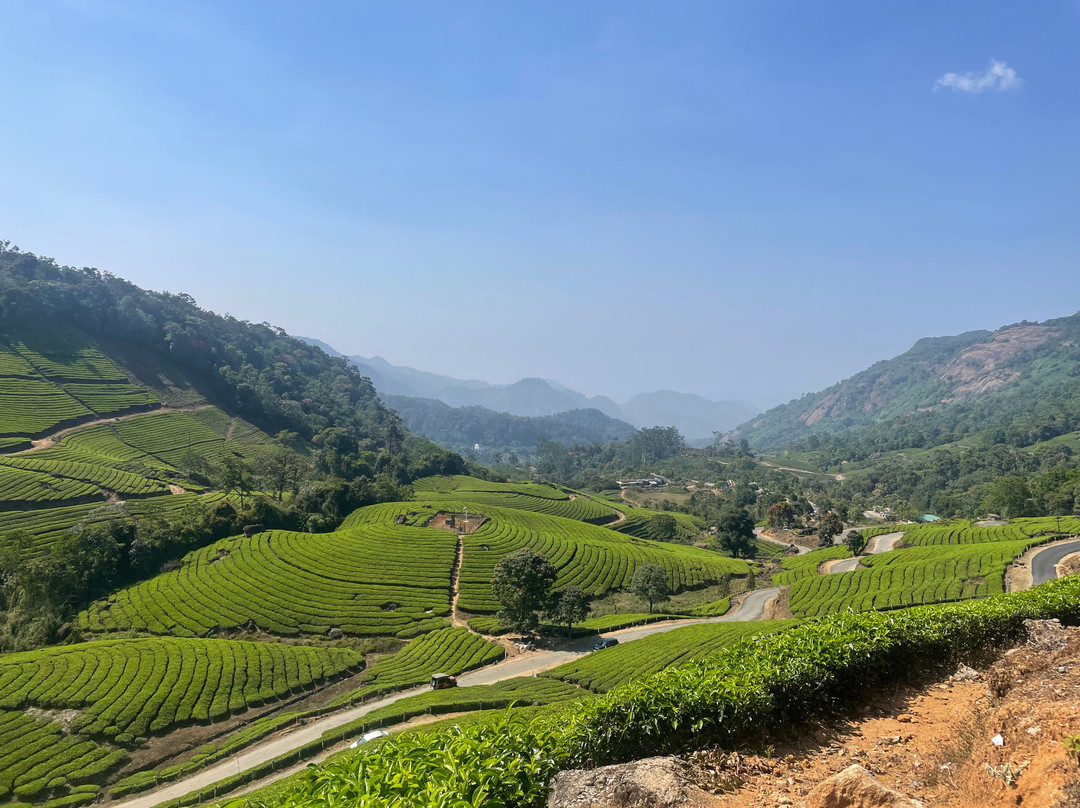 Munnar Info-慕那尔必去景点