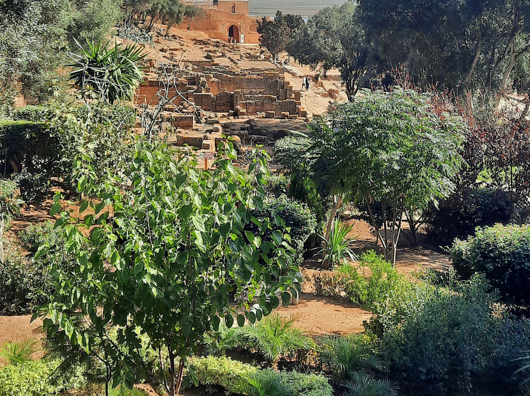 Chellah Rabat-拉巴特必去景点