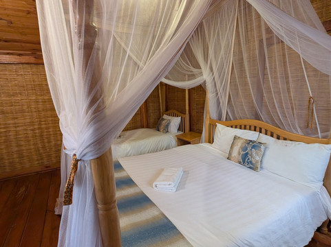 Kigezi Vima Safaris-Kibale National Park必去景点