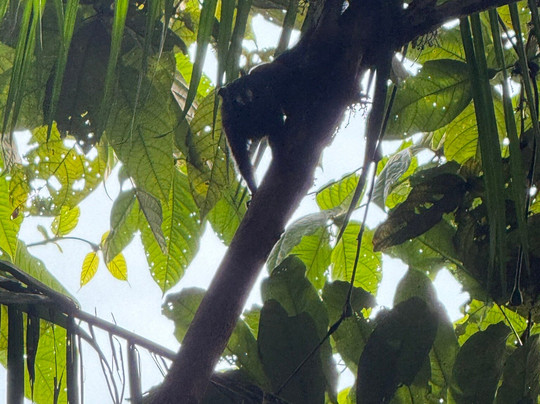 Amazon Experience-伊基托斯必去景点