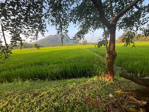Best of Lanka-科伦坡必去景点