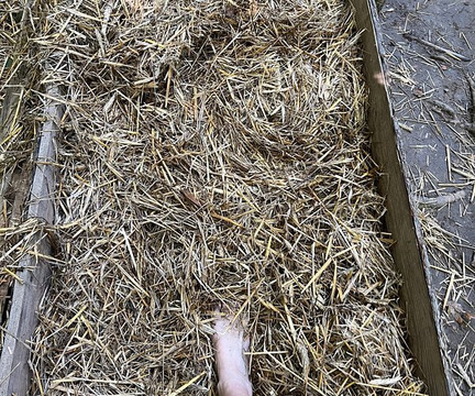 Sentier Pieds Nus-Montgaillard必去景点