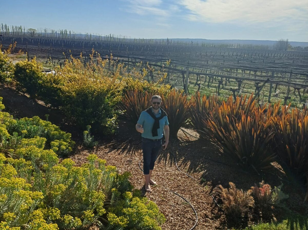 Bodega Piattelli Agrelo, Mendoza-阿格雷洛必去景点