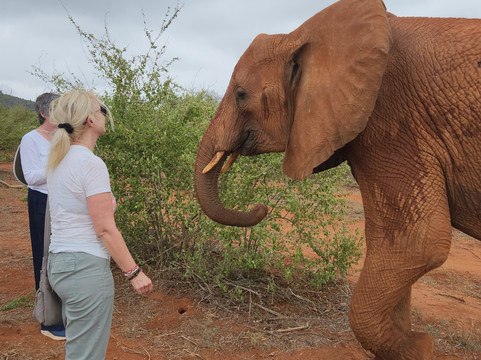 Capture Africa Tours-内罗毕必去景点