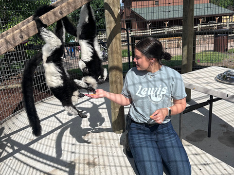 Lewis Adventure Farm & Zoo-New Era必去景点