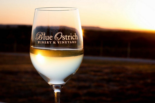 Blue Ostrich Winery & Vineyard