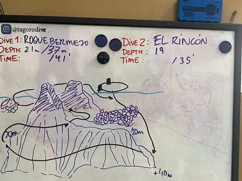 The Green Shark-La Restinga必去景点