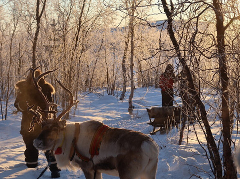 拉普兰极光&摄影之旅-阿比斯库必去景点