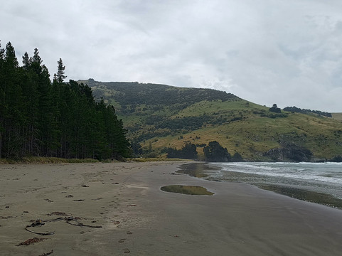 Akaroa's Eastern Bays Scenic Mail Run-阿卡罗阿必去景点
