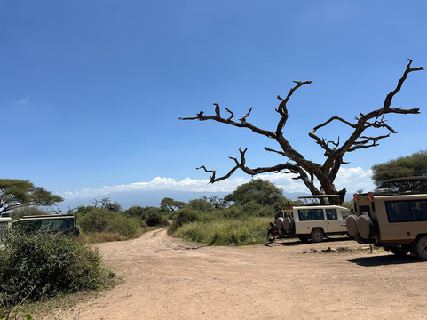 Nature Insight Safaris-内罗毕必去景点