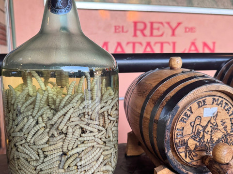 Zapotecos Tours-瓦哈卡必去景点