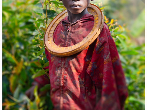 Burundi Discovery Tours-布松布拉必去景点