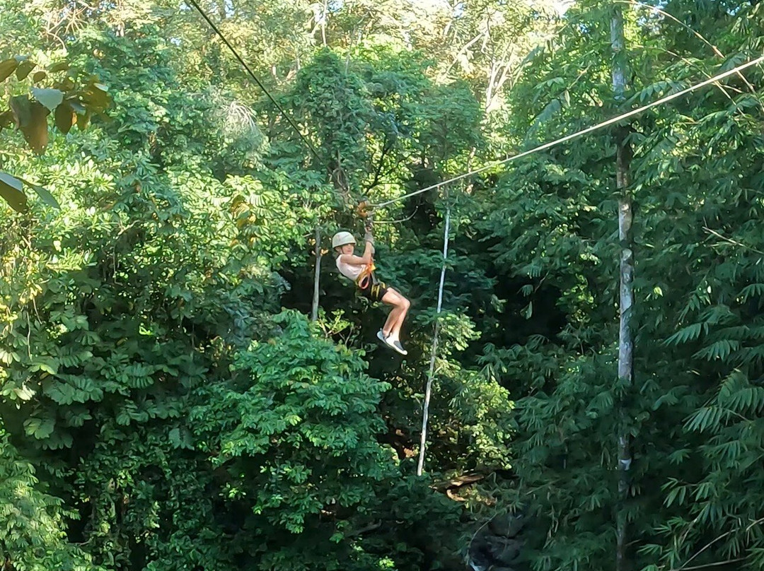 Uvita Paradise Adventures ( Zip Line)-乌维塔必去景点
