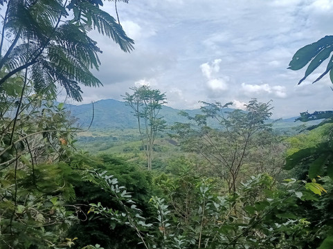 Brisas del Cauca-Risaralda必去景点