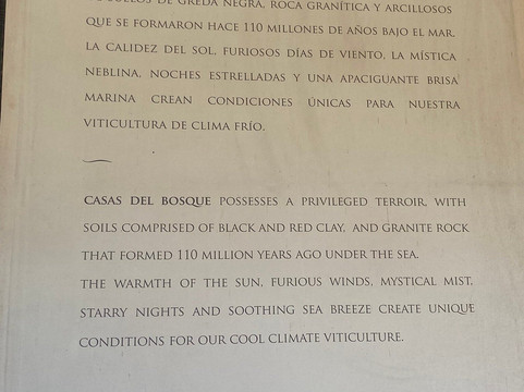 Casas del Bosque-卡萨布兰卡必去景点