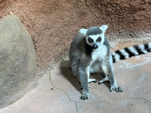 Tropikariet-赫尔辛堡必去景点