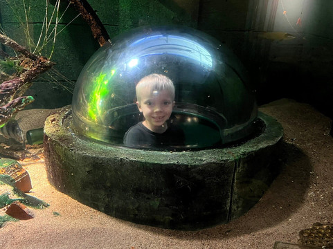 Malmohus castle-马尔默必去景点