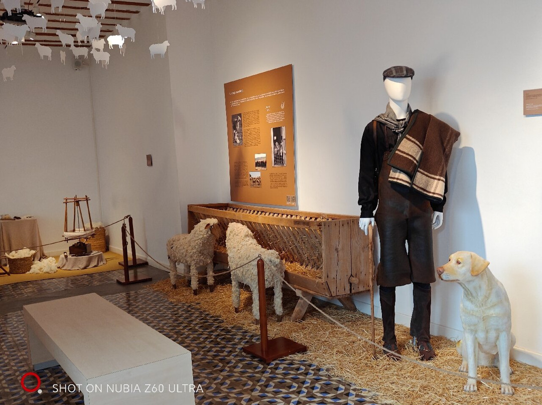 Museo Del Queso Manchego-曼萨纳雷斯必去景点