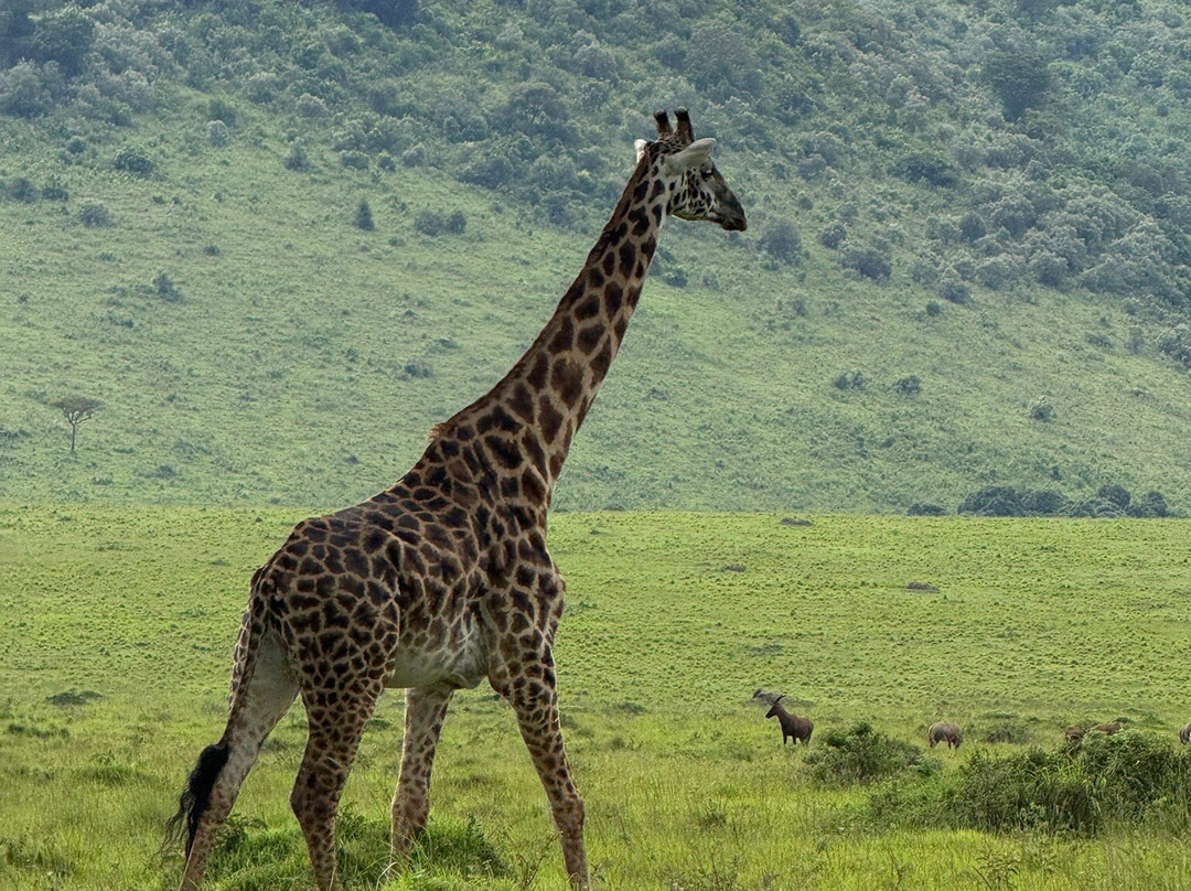 Extra Miles Unique Adventures-Sekenani必去景点