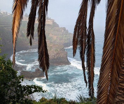 Paisaje Protegido De La Rambla De Castro-Los Realejos必去景点