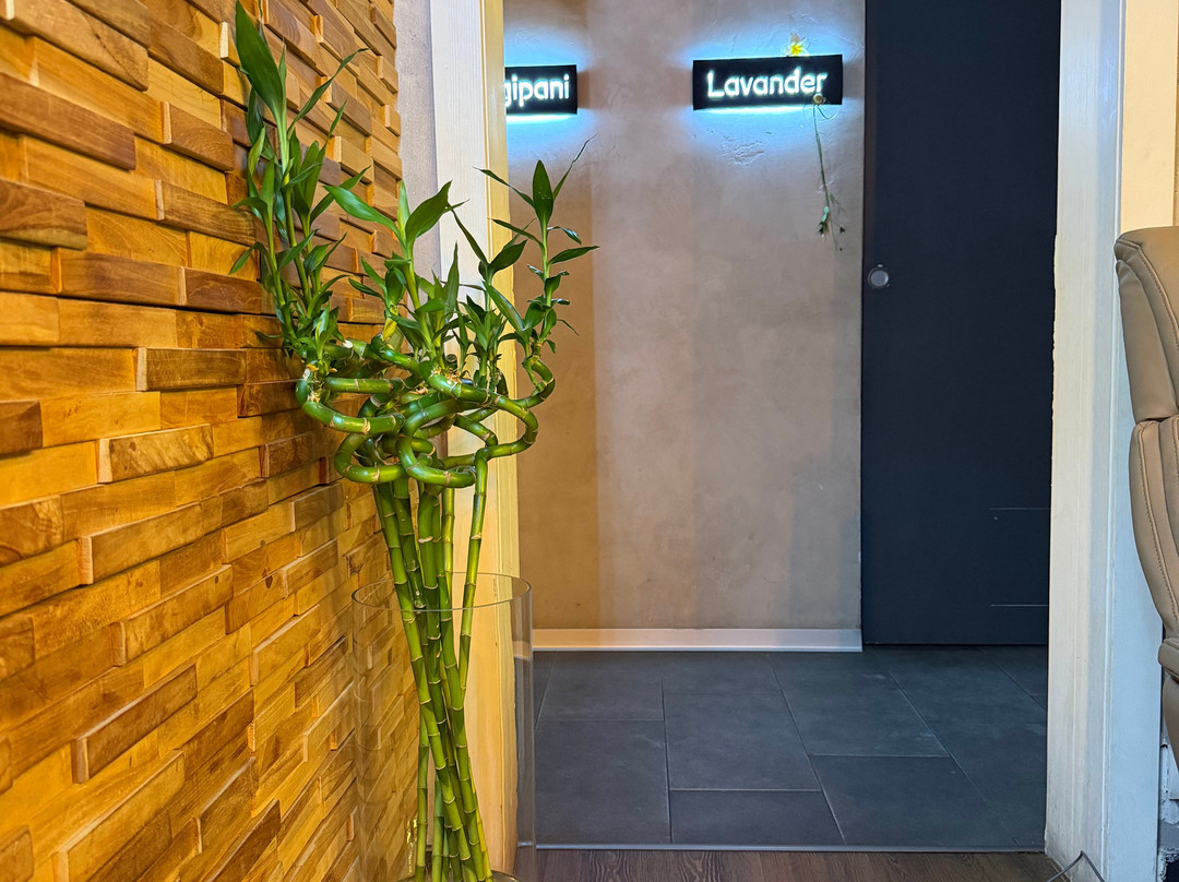 Vitality Asian Spa Promenada-布加勒斯特必去景点