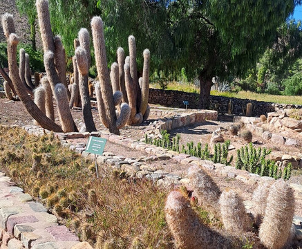 蒂尔卡拉-蒂尔卡拉必去景点