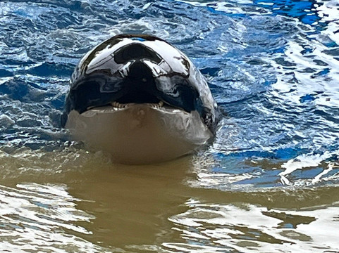 Atlantico Excursions-特纳里夫必去景点