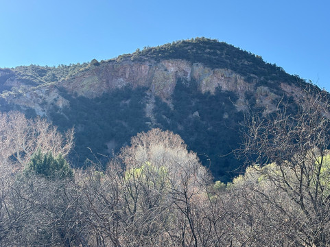 American Birding Guides-Patagonia必去景点