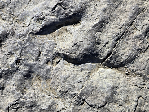 Red Gulch Dinosaur Tracksite-Greybull必去景点