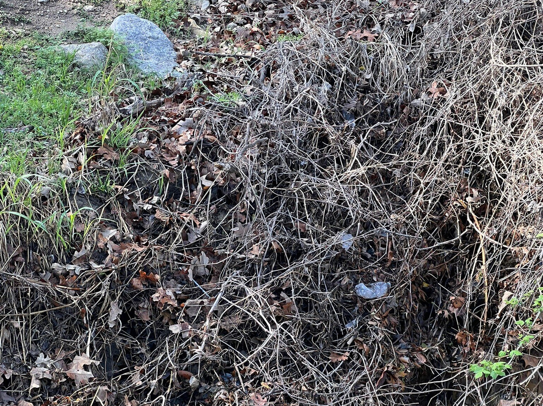 Airfield Falls Trailhead & Conservation Park-沃思堡必去景点