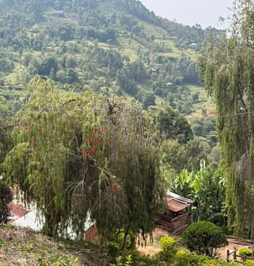 Usambara Eco Tours-卢绍托必去景点