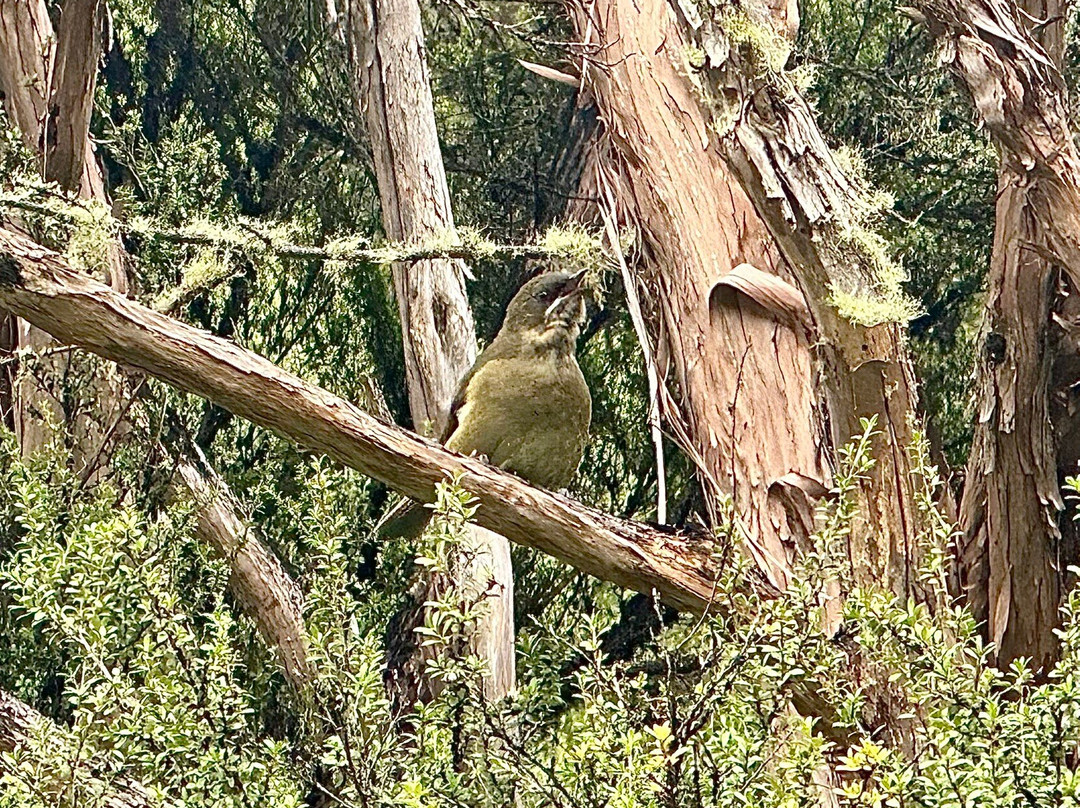 Island Hills Station-Culverden必去景点