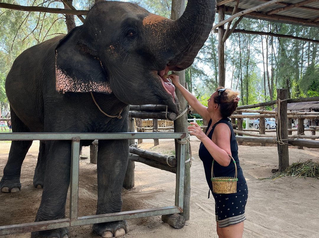 Khao Lak Elephant Home-拉克山必去景点