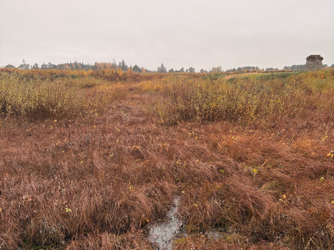 Culloden Battlefield-卡洛登沼泽必去景点
