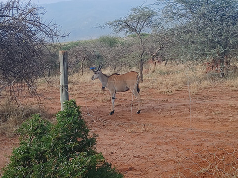 Oldonyo Orok Lodge主图