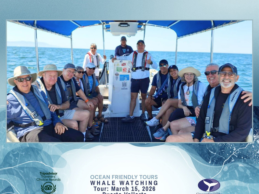 Ocean Friendly Whale Watching Tours-瓦拉塔港必去景点