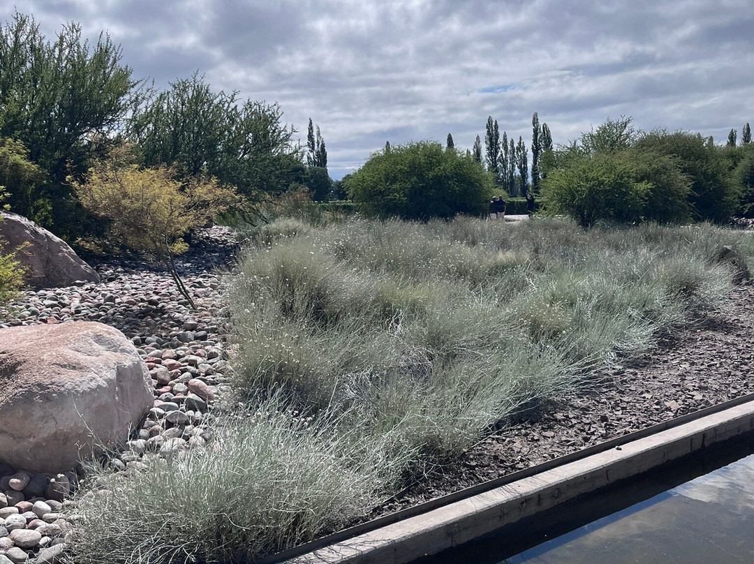 Bodega Zuccardi Valle de Uco-La Consulta必去景点
