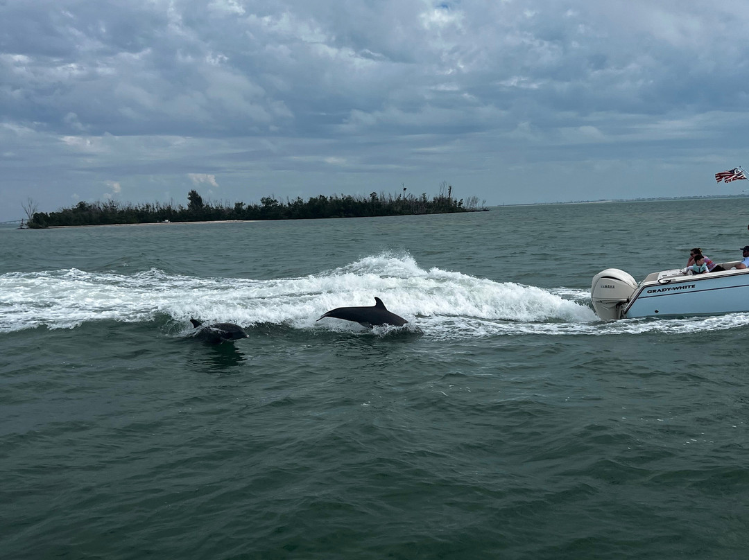Adventures in Paradise Fort Myers Beach-迈尔斯堡海滩必去景点