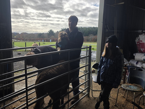 Bowbridge Alpacas Scotland-Peat Inn必去景点