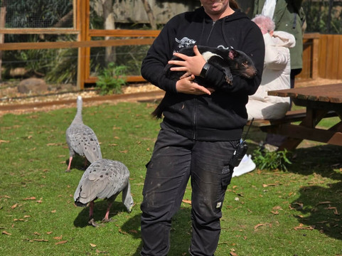 Trowunna Wildlife Sanctuary-茉莉溪必去景点