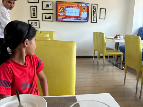 柠檬树酒店胡布利主图