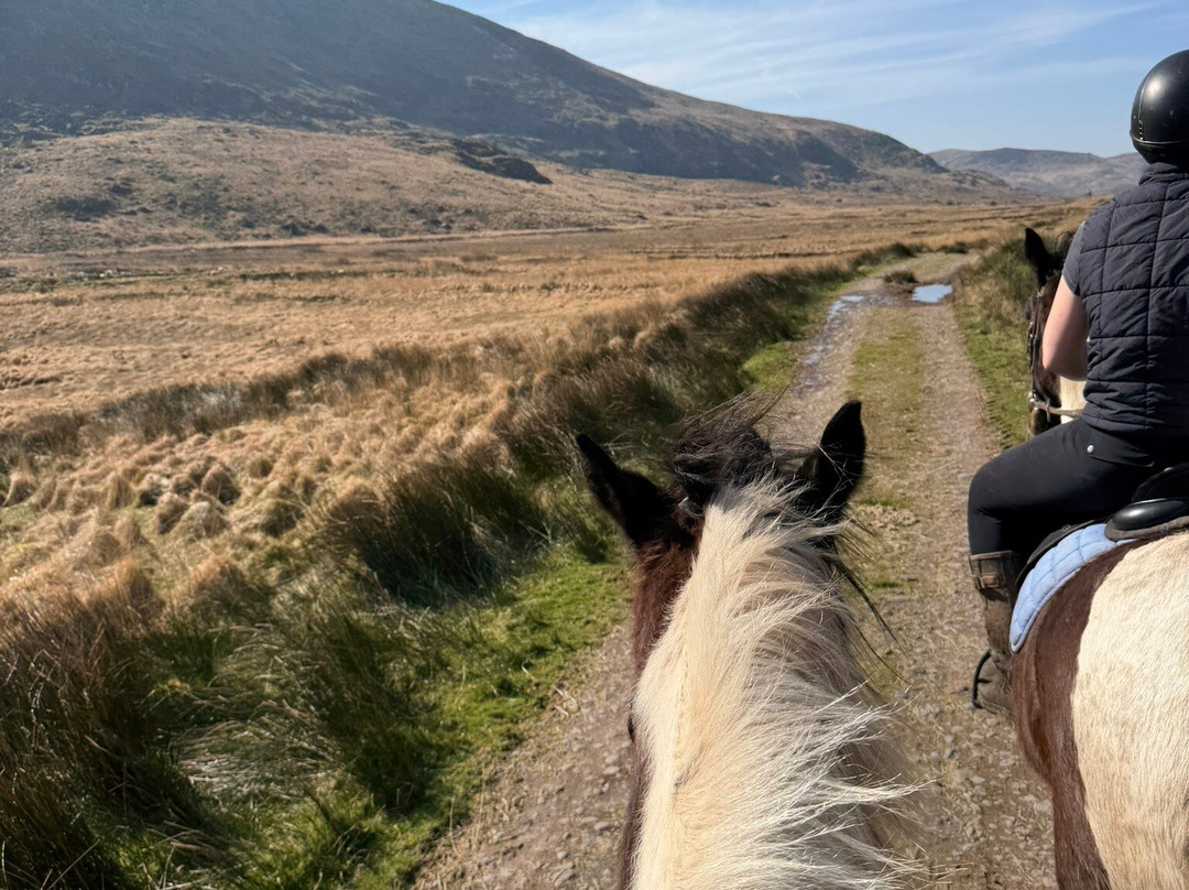 Sea View Equestrian-Ballydavid必去景点