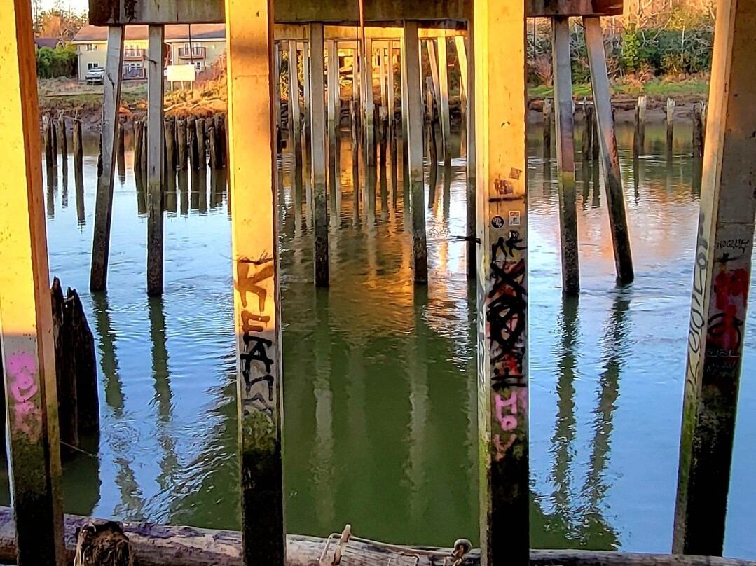 Kurt Cobain Memorial Park-阿伯丁必去景点