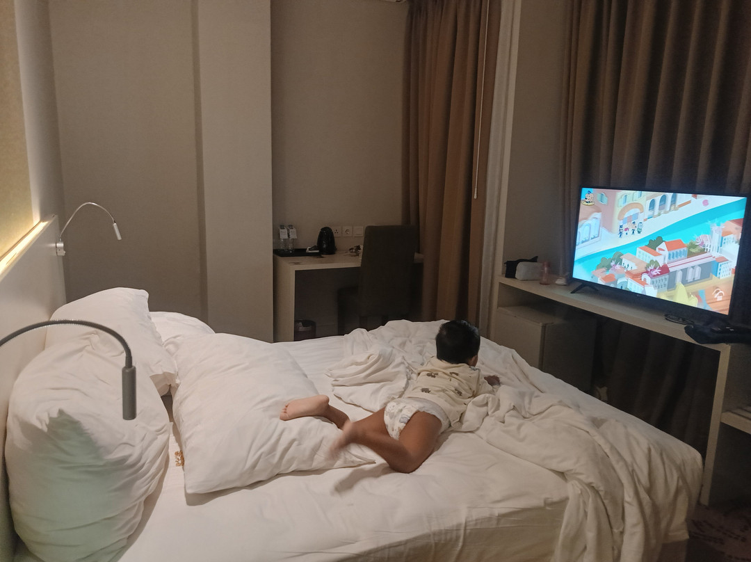 巴厘巴板瑞士贝尔旅店主图