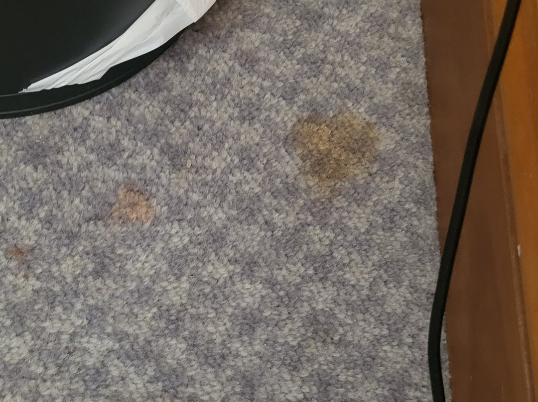 河滨小屋酒店主图