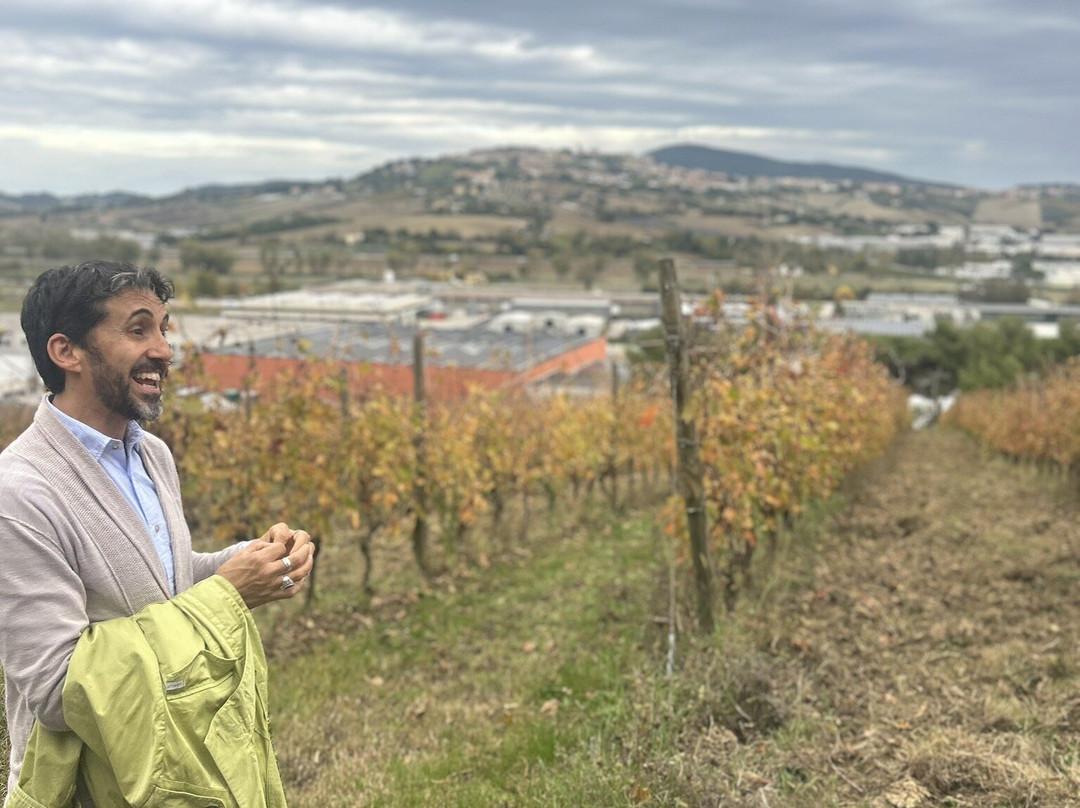 Umani Ronchi Winery-奥西莫必去景点