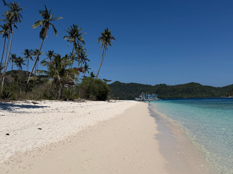 Big Dream Boatman-科隆必去景点