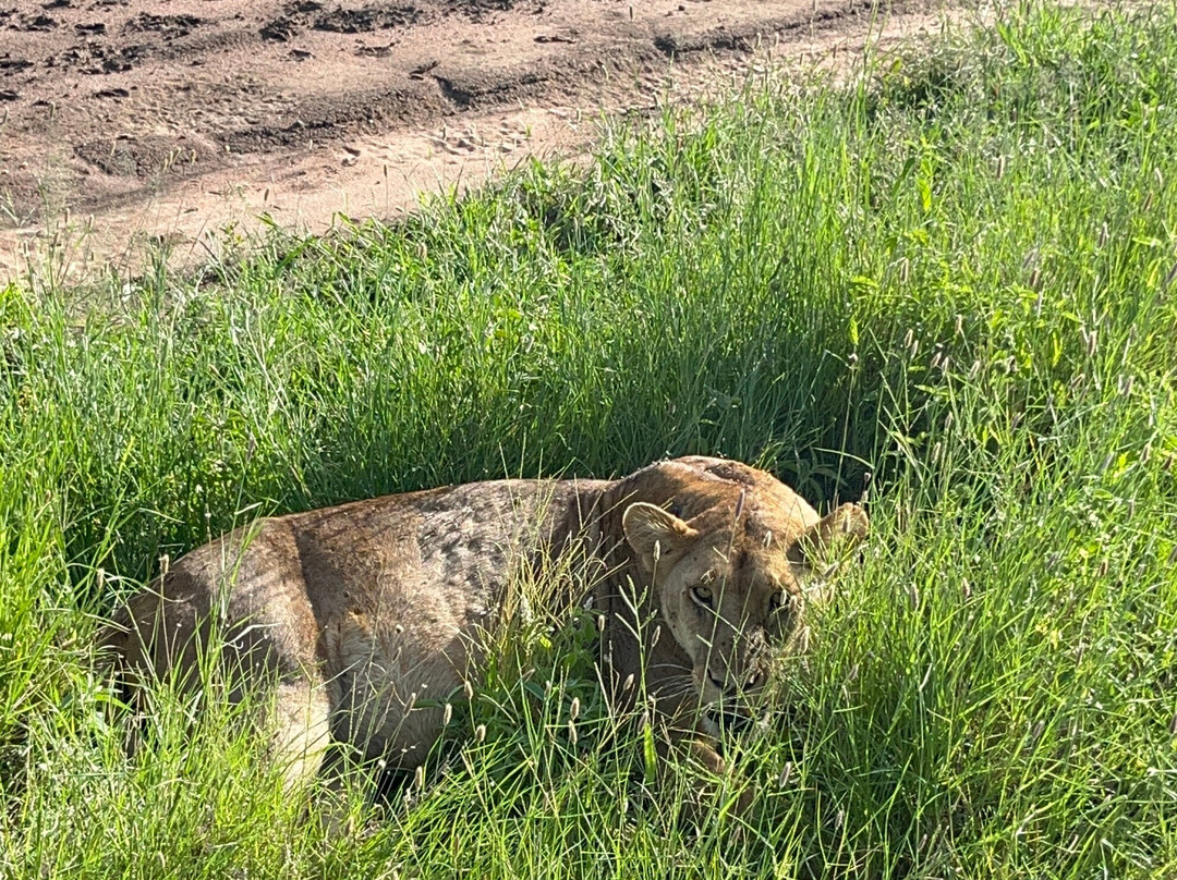 BADGER ADVENTURES TOURS & SAFARI-Arusha Chini必去景点