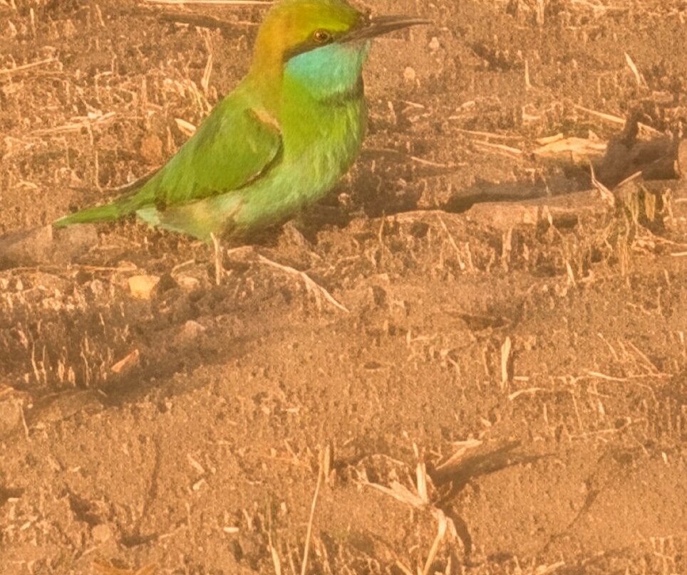 猎豹营舍-亚拉游猎营舍主图